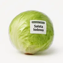 Produkt Sałata lodowa Zdjęcie